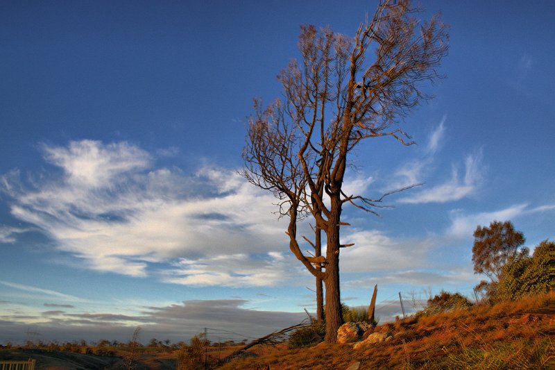 slo hdr2.jpg